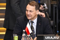 Польша передала РФ ноту протеста, заявил Сикорский