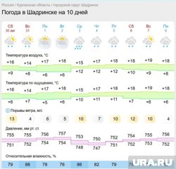 В Шадринске начало сентября выдастся дождливым