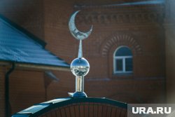 Организация уже занимается сбором средств