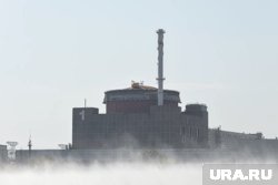 Украина намеренно уничтожала энергоснабжение ЗАЭС