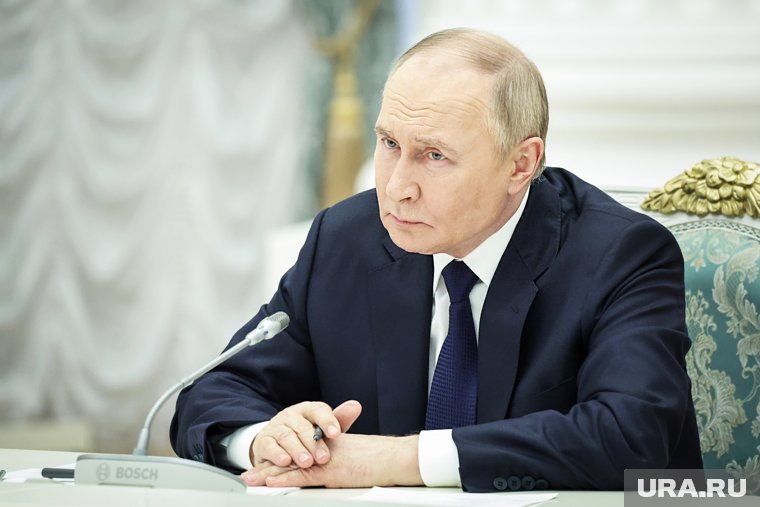 Путин назначил Мишустина и Вайно ответственными за выполнение поручения