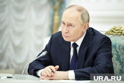 Путин назначил Мишустина и Вайно ответственными за выполнение поручения