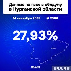В Курганской области явка достигла почти 28%
