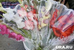 Экономист Проданова рассказала, что самостоятельно собранный букет дешевле на 50%