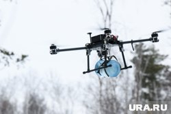 Ключевые правила поведения при обнаружении бесплиотников описаны в памятке