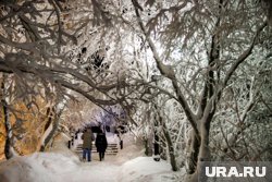 В этом году зима на Ямале выдалась особенно снежная 