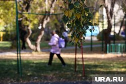 Школьницам удалось сбежать от насильника