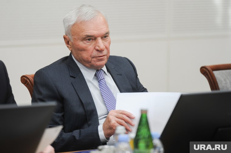 Дочери Виктора Рашникова за год потеряли 0,5 млрд долларов