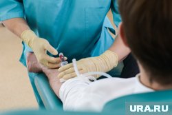 Доноров хотят поощрять и на уровне региона