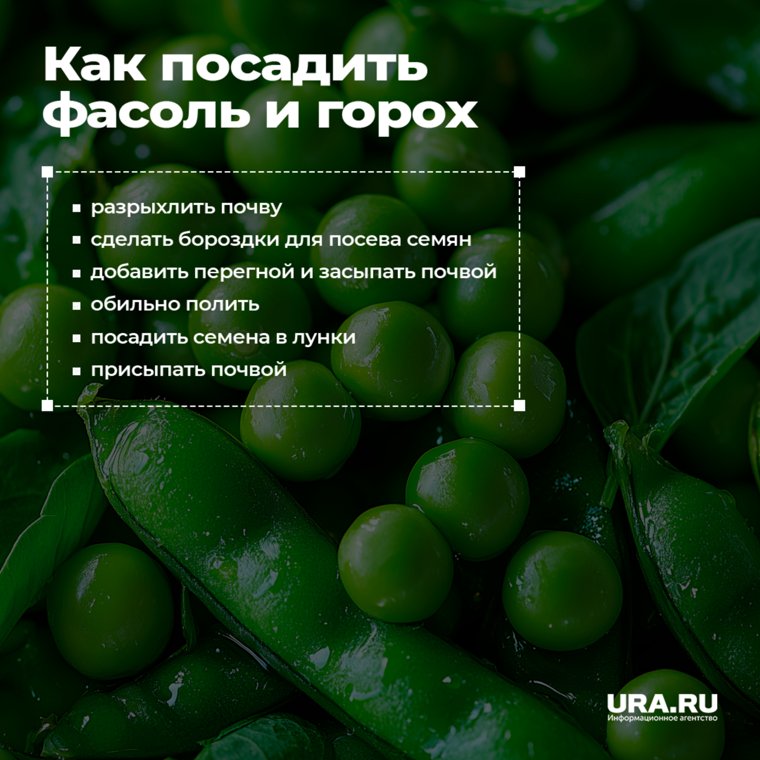 Важно придерживаться пошаговой инструкции при посадке