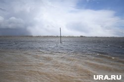 В селе Ильинка в реке Ишим уровень воды продолжает превышать критическую отметку