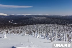 В Сети осудили близких Натальи за то, что они сми не отправились на поиски