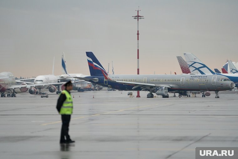 Автомобиль помешал движению самолета в аэропорту Пулково, пишет Shot