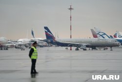 Автомобиль помешал движению самолета в аэропорту Пулково, пишет Shot