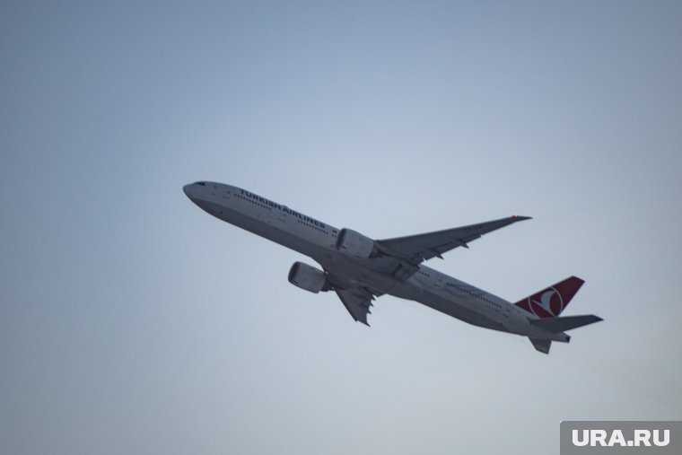 Ситуация с рейсами Turkish Airlines восстановится в скором времени
