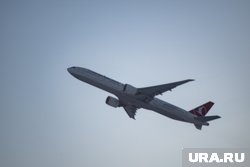 Ситуация с рейсами Turkish Airlines восстановится в скором времени