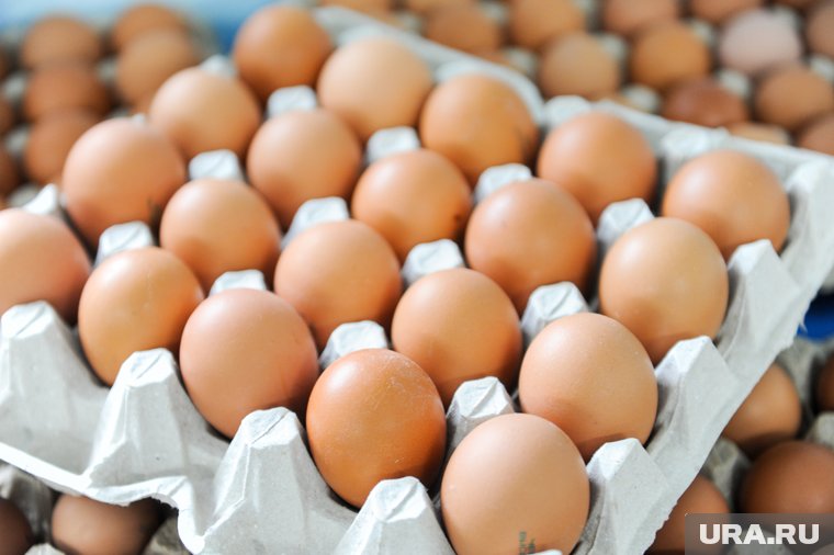 Продукция полностью соответствует всем требованиям страны-импортера