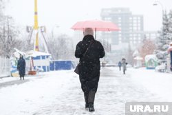 Снегопад повторится в Тюмени не раньше 16 октября