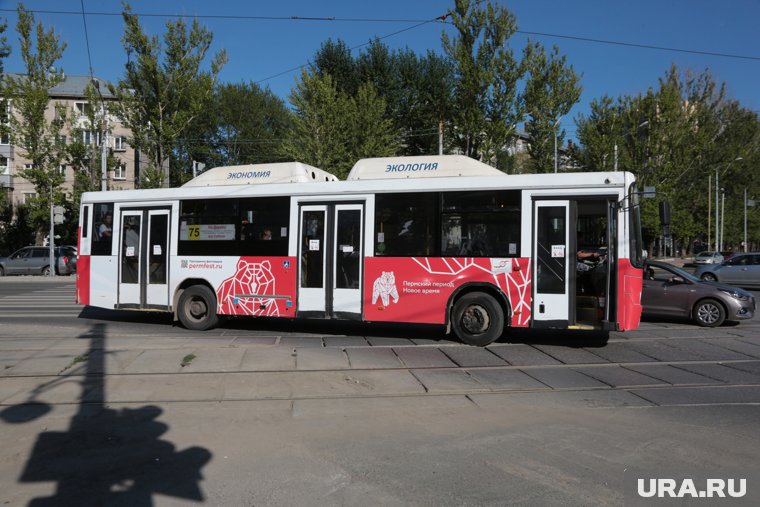 Пермь готова отдать свои автобусы в территории Прикамья