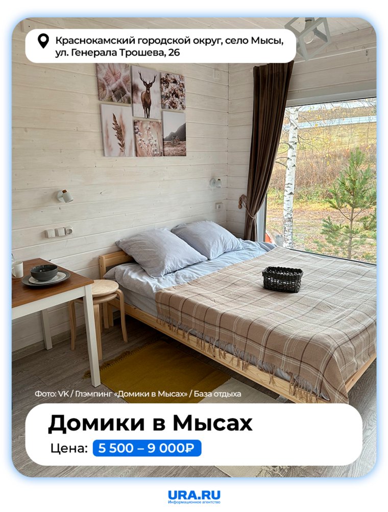 На базе живут лошадки, пони и ослики