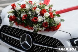 Свадебный кортеж остановился около парка Маяковского
