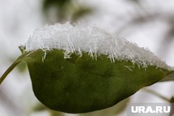 Курганская область на несколько дней окажется под влиянием антициклона