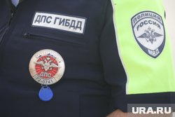 Гаишники организовали проверку