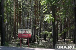С 14 по 16 июня в Курганской области ожидается высокая пожароопасность