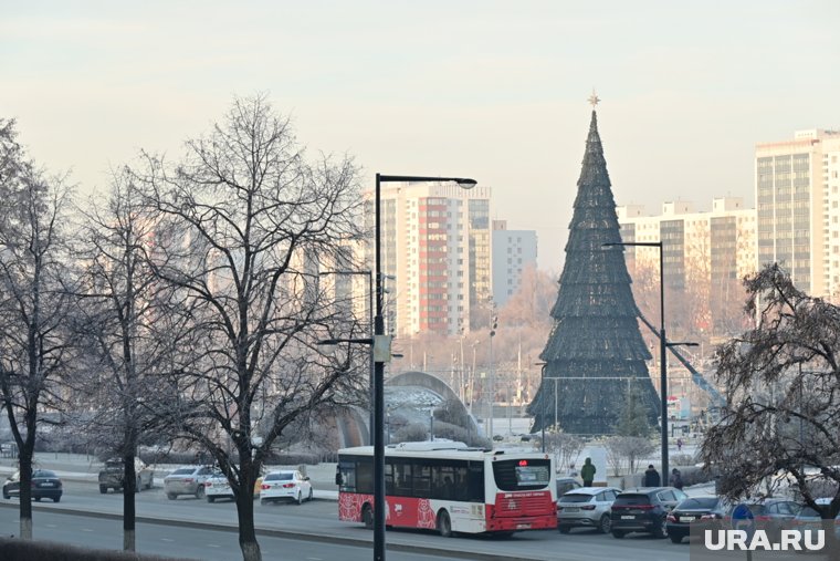 Главную елку края на пермской эспланаде уже украшают