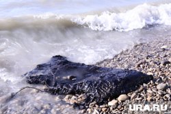 По мнению эколога, в Геленджике нет мазута в море