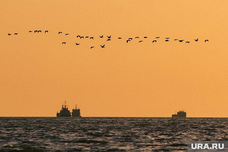 Цель фрегата «Адмирал Головко» была уничтожена
