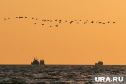 Цель фрегата «Адмирал Головко» была уничтожена