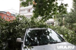 Из бюджета Кургана выплатят более 800 тысяч рублей за поврежденную иномарку (фото из архива)