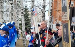 В «Бессмертном полку» поучаствовало почти 300 тысяч человек