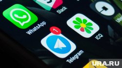 Telegram и WhatsApp - самые популярные онлайн-сервисы у югорчан