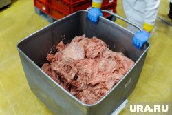 Мясокомбинат с перерабатывающим цехом и морозильной камерой продают в Koркинo