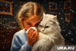Многие хозяева кошек не подозревают, насколько опасным может оказаться токсоплазмоз