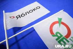 Кандидаты от «Яблока» будут представлены на выборах в 2026 году в Пермском крае