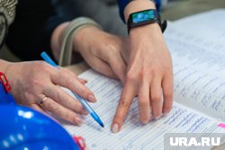 Ущерб от незаконной деятельности составил более 35 млн рублей
