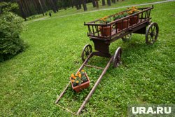 В Кургане заметили телегу (архивное фото)