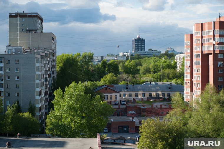 Хищники облюбовали участок, где городской ландшафт сочетается с лесистой зоной