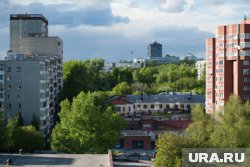 Хищники облюбовали участок, где городской ландшафт сочетается с лесистой зоной 