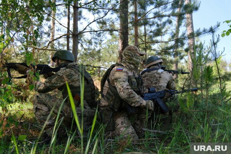 ВС РФ взяли под контроль село Зеленый Кут