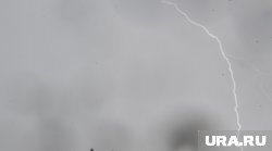 В Кургане во время шторма молния ударила в линию электропередач (архивное фото)