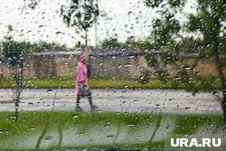 Курганцев и шадринцев предупредили о непогоде