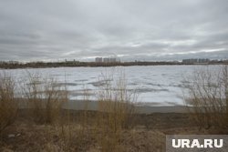 Сделать пляж в городе предложил мэр Афанасьев 