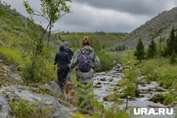 За прогулки по пермским лесам надо платить