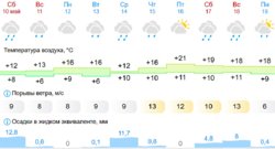 Погода на 10 дней в Шадринске