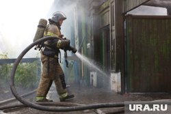 Площадь пожара в Подмосковье увеличилась до 15 тысяч квадратных метров. Фото