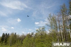 Ямальские леса патрулируют с вертолетов